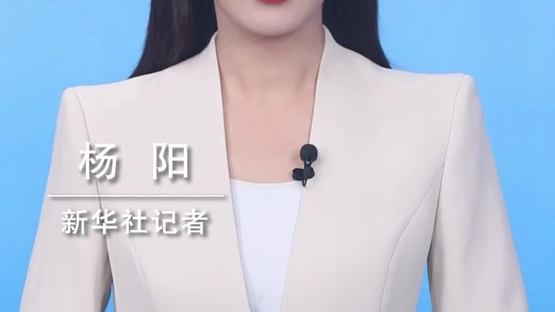 物流行业数字化转型的关键案例解析